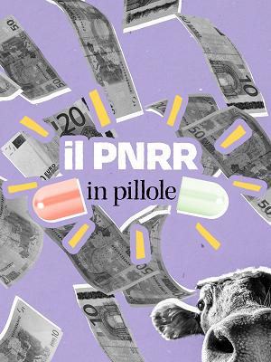 Il PNRR in pillole - RaiPlay